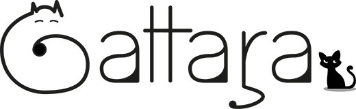 Gattara