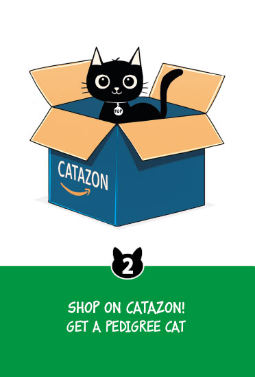 Gattara cat card game card showing character effect